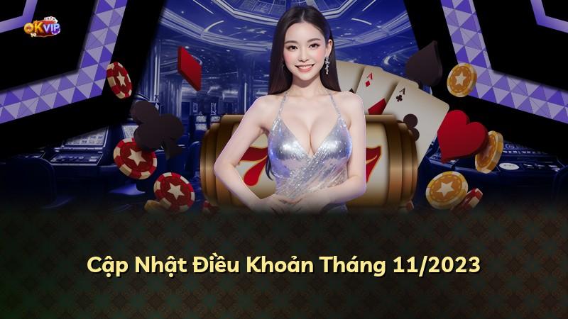 Cập Nhật Điều Khoản Tháng 11/2023