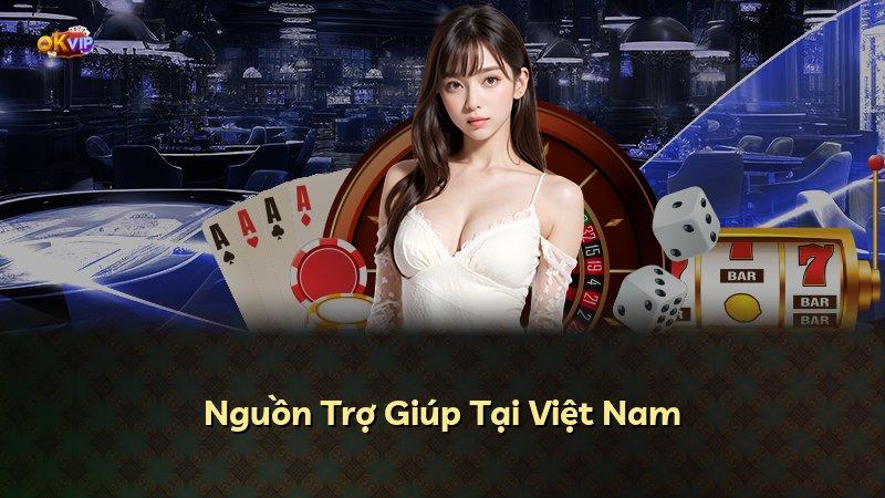 Nguồn Trợ Giúp Tại Việt Nam