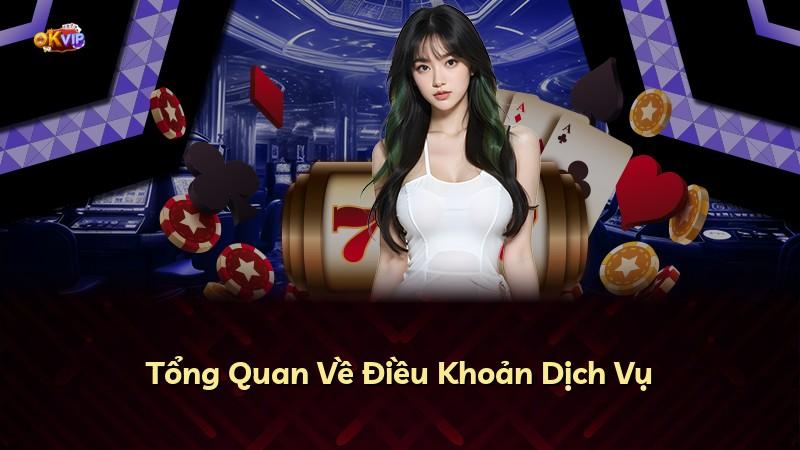 Tổng Quan Về Điều Khoản Dịch Vụ